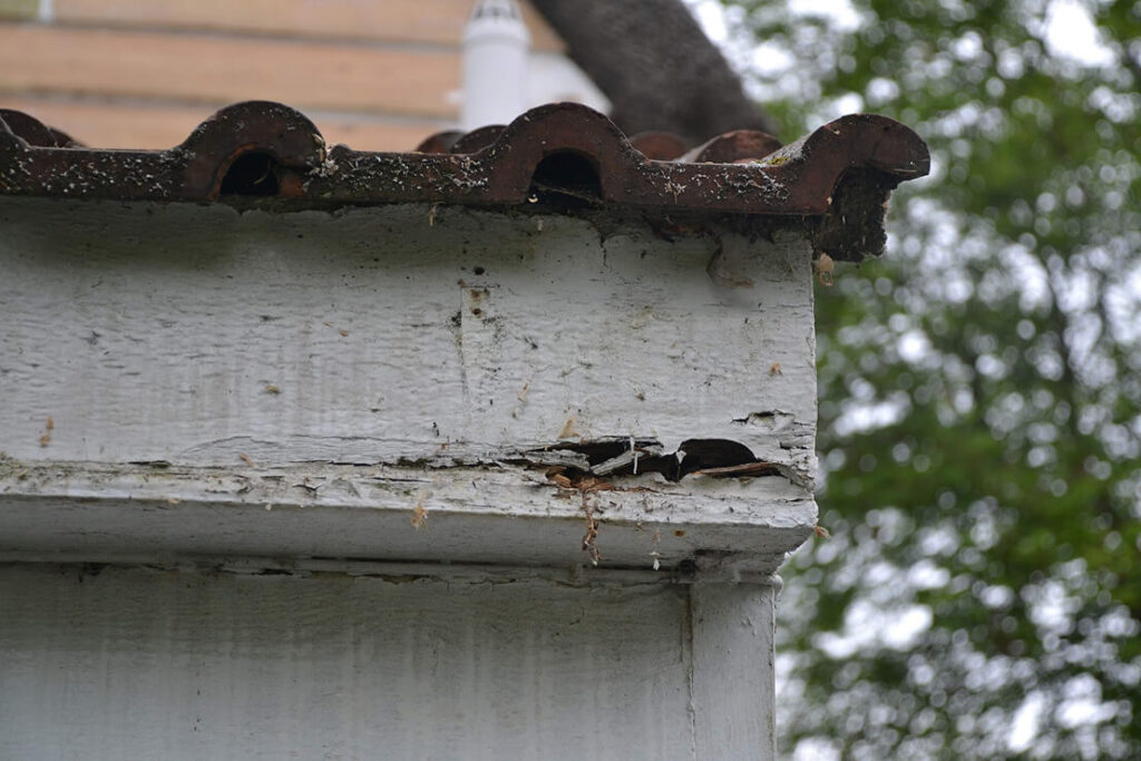 Close-up of a damaged roof eave with visible wood rot and peeling paint, highlighting the need to repair fascia and soffit; attached to a building with trees in the background.